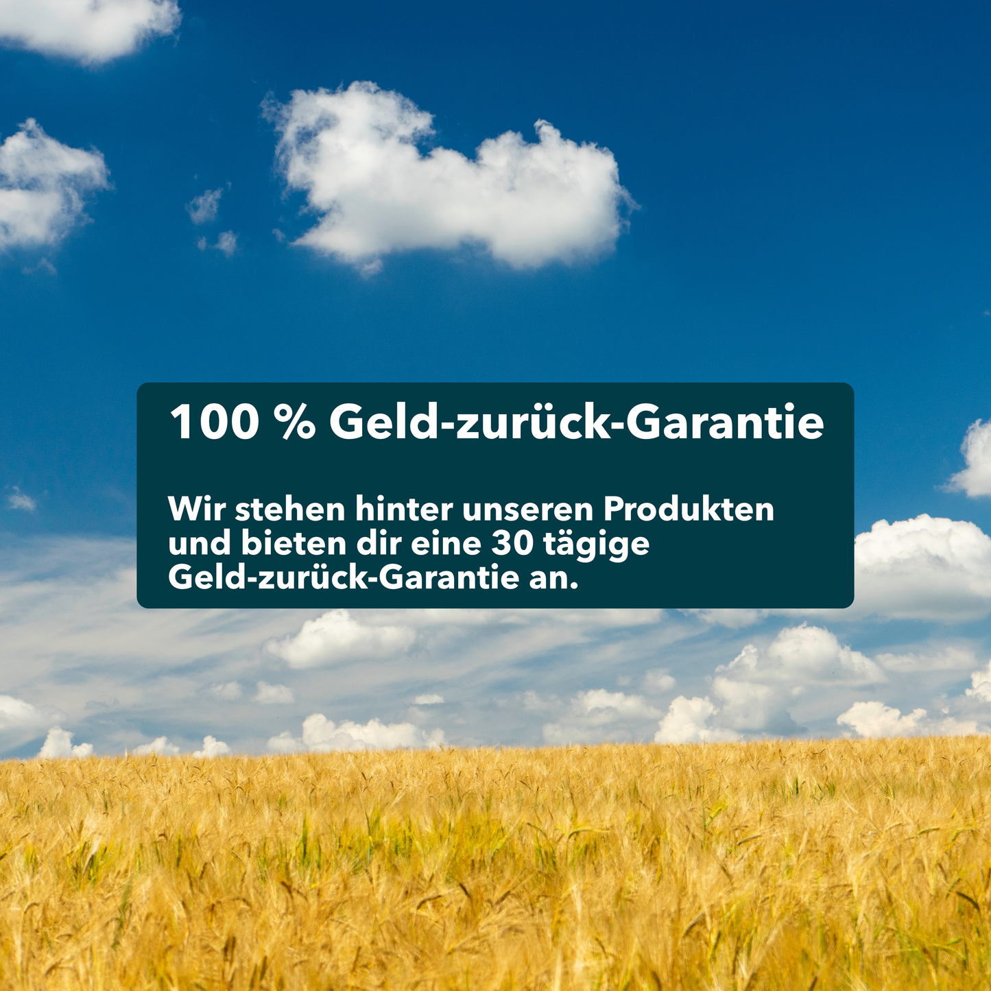 Nachhaltige Zahnseidesticks