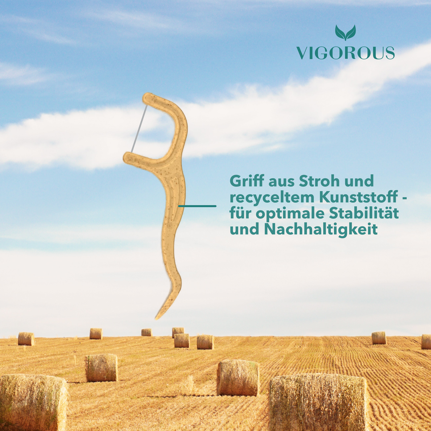 Nachhaltige Zahnseidesticks