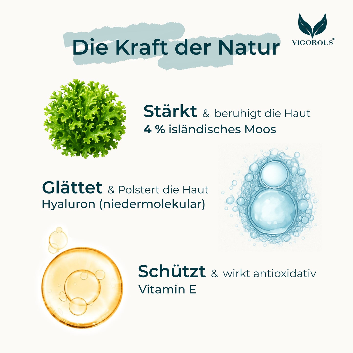 Moossalbe Feuchtigkeitscreme